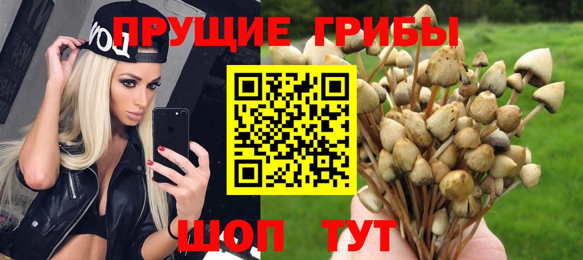 Псилоцибиновые грибы MAGIC MUSHROOMS Татарск